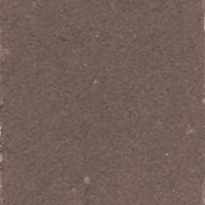 terra tortora